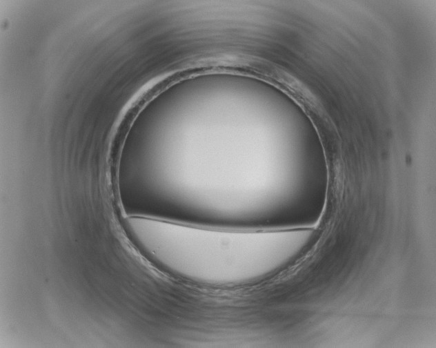 X0000066950784200603240909