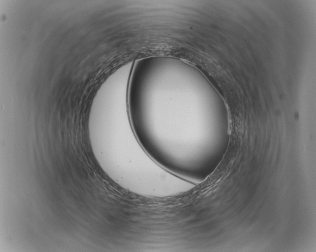 X0000066950818200603240908