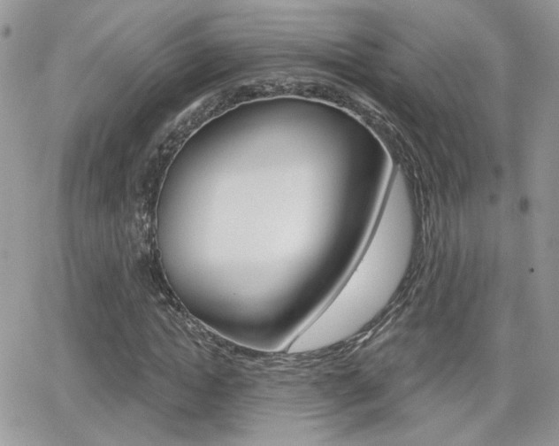 X0000066950822200603240908