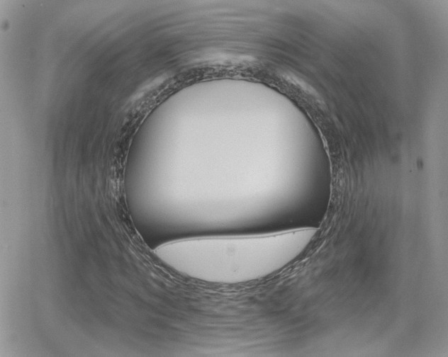 X0000066950869200603240908
