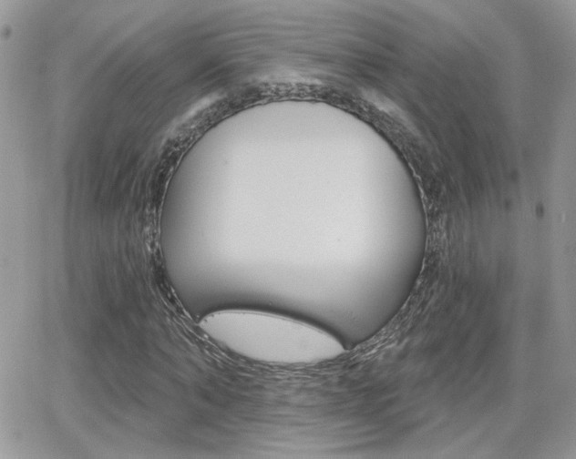 X0000066950870200603240908