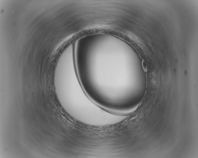 X0000066950872200603240908