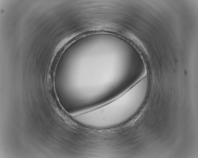 X0000066950876200603240908