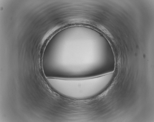X0000066950877200603240908