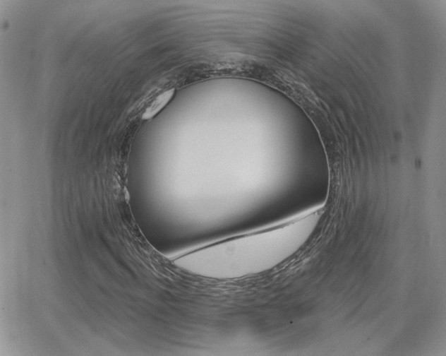 X0000066950916200603240906