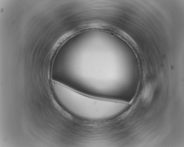 X0000066950938200603240907