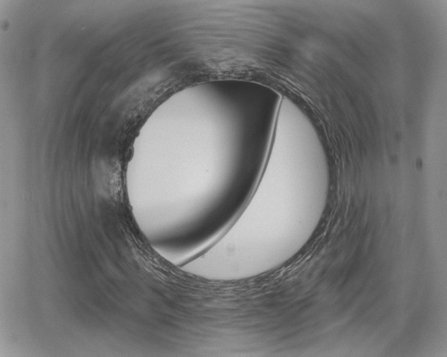 X0000066950963200603240906