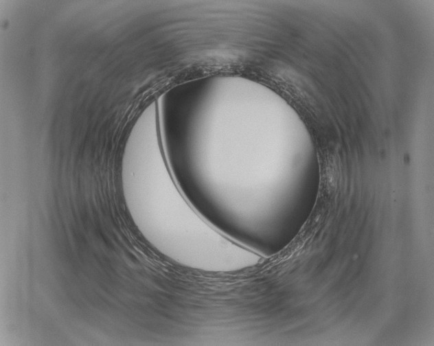 X0000066950964200603240906