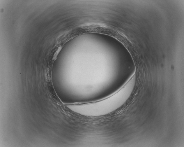 X0000066950965200603240906