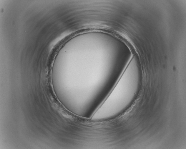 X0000066950971200603240906