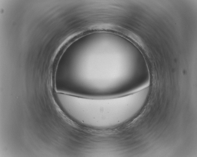 X0000066950984200603240906