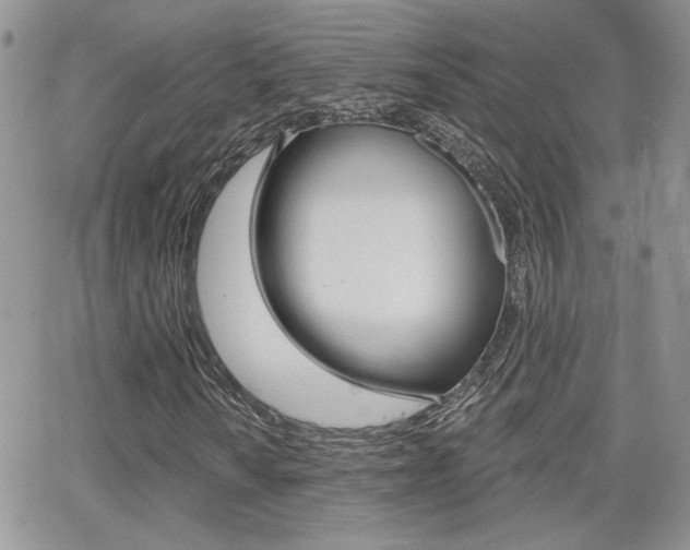 X0000066951010200603240905