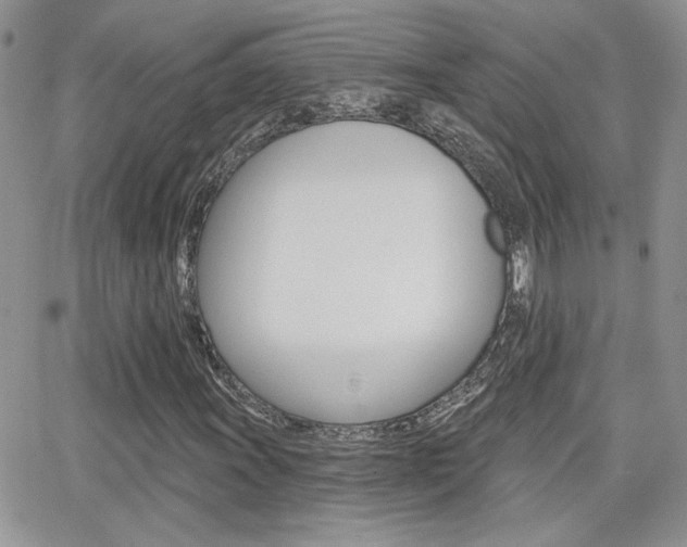 X0000066951011200603240905