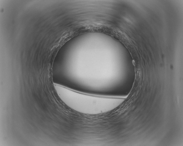X0000066951012200603240905
