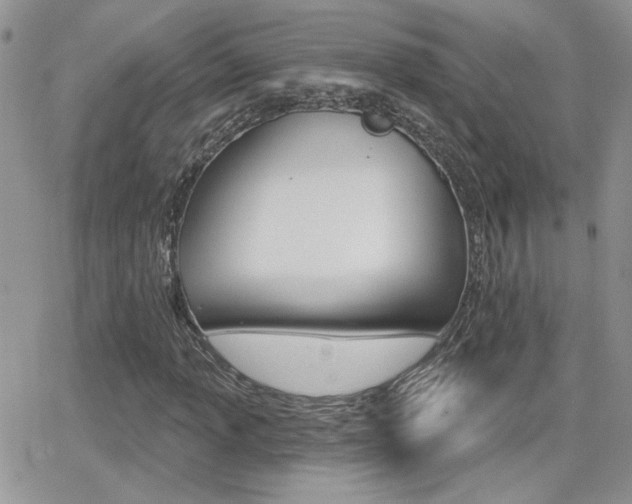 X0000066951013200603240905