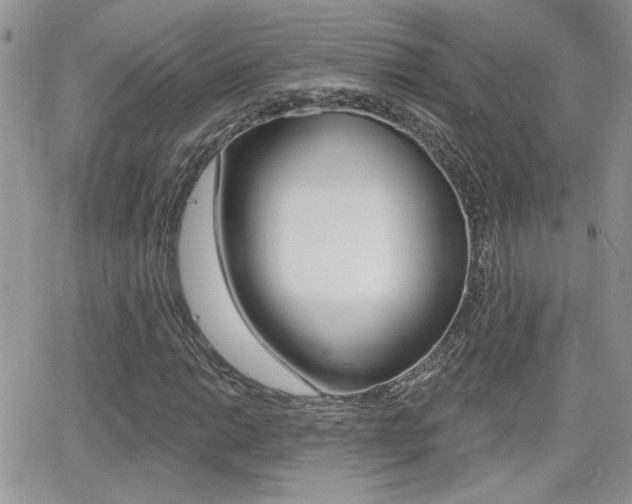 X0000066951014200603240905