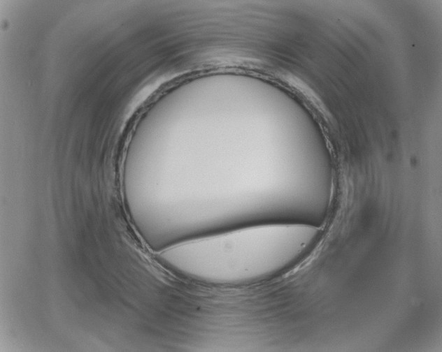 X0000066951023200603240905