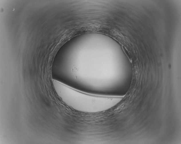 X0000066951057200603240905