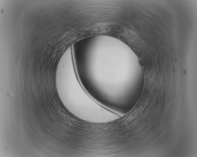 X0000066951058200603240905