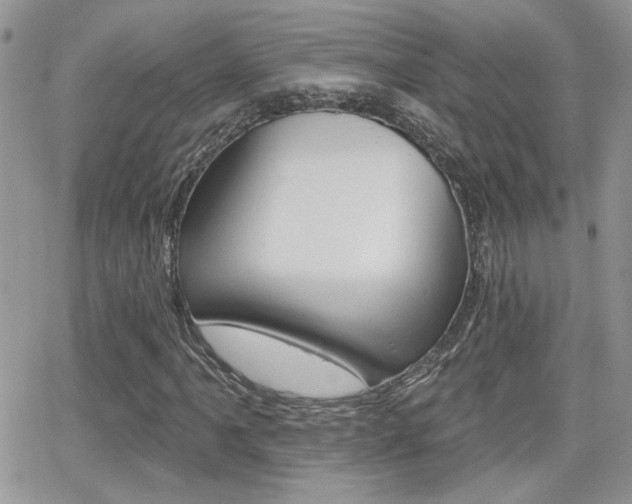 X0000066951061200603240905