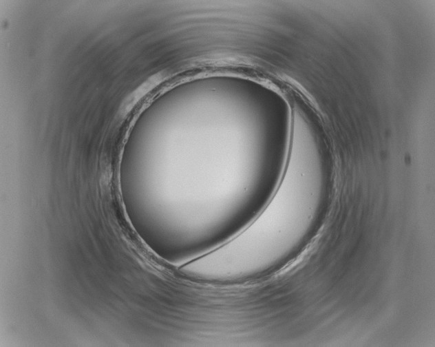 X0000066951065200603240905