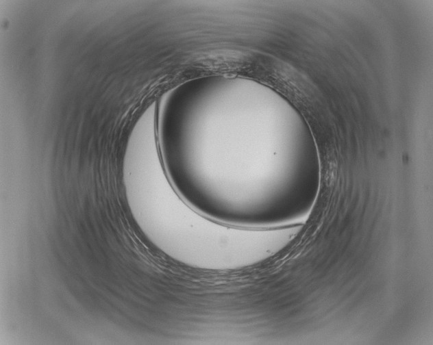 X0000066951108200603240903