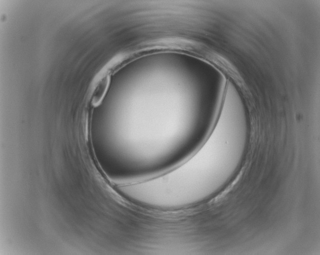 X0000066951180200603240903