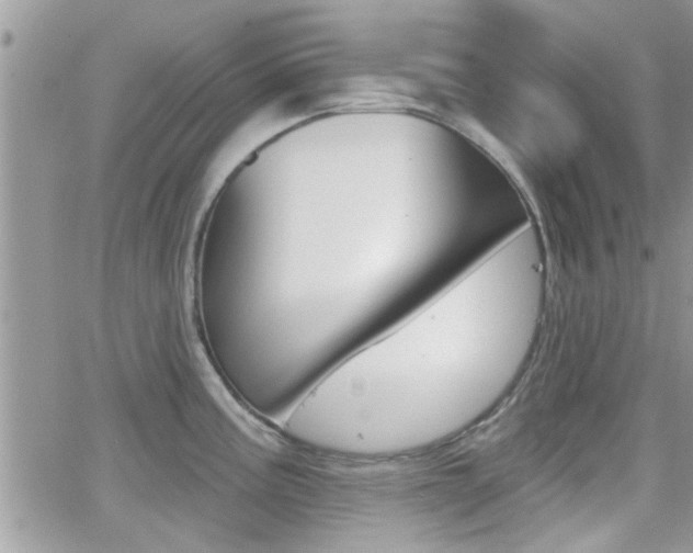 X0000066951195200603240902