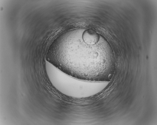 X0000066951201200603240902