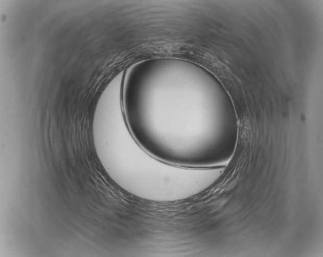 X0000066951202200603240902