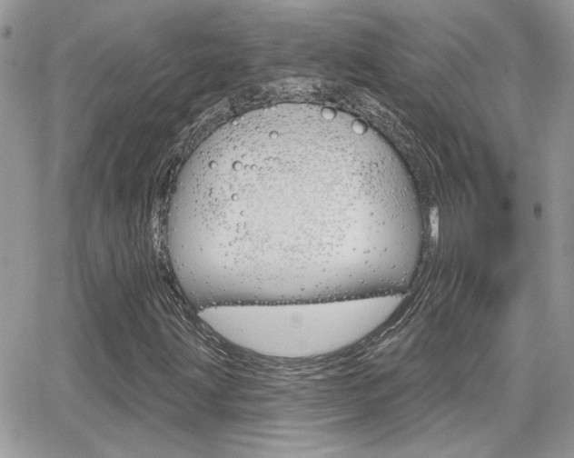 X0000066951203200603240902