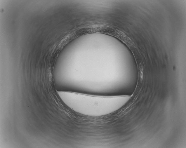 X0000066951204200603240902