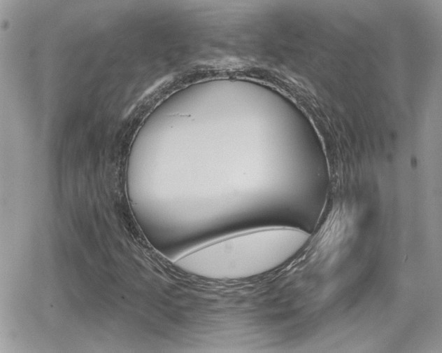 X0000066951205200603240902