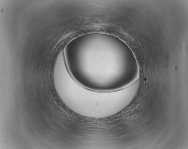 X0000066951206200603240902