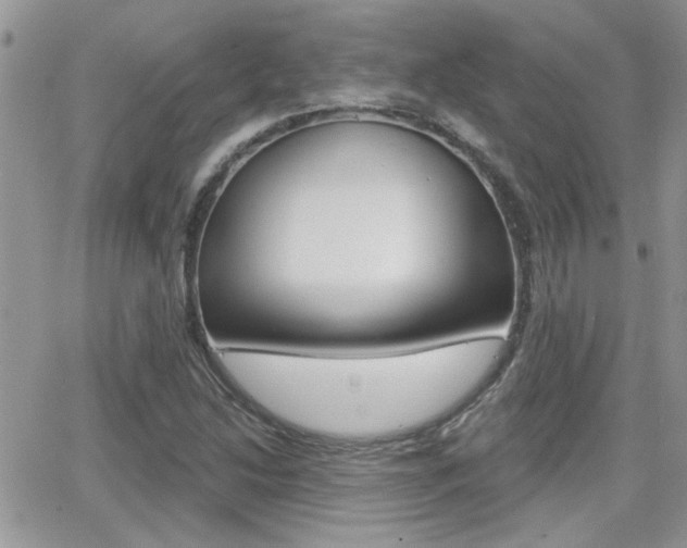 X0000066951214200603240902