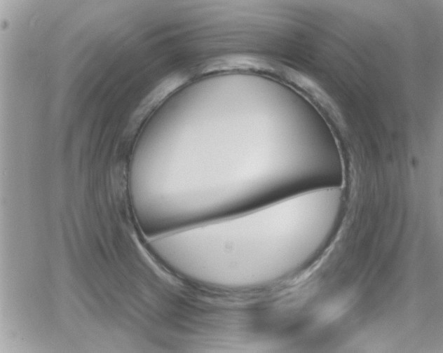 X0000066951233200603240902