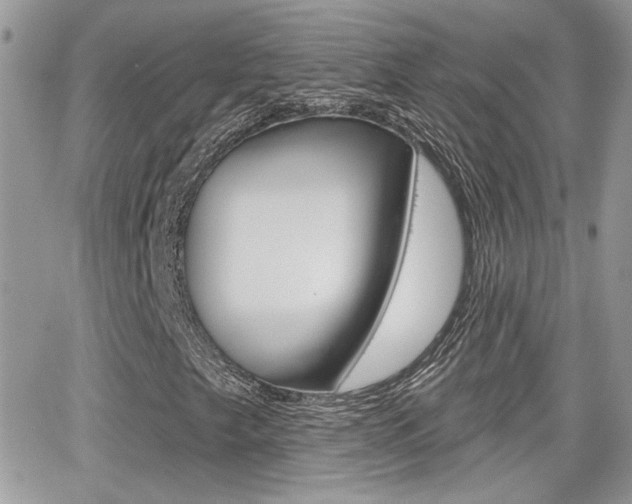 X0000066951249200603240902