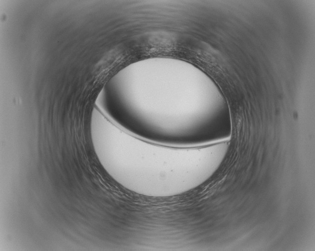 X0000066951250200603240902