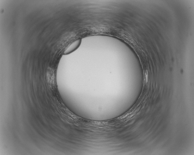X0000066951251200603240902