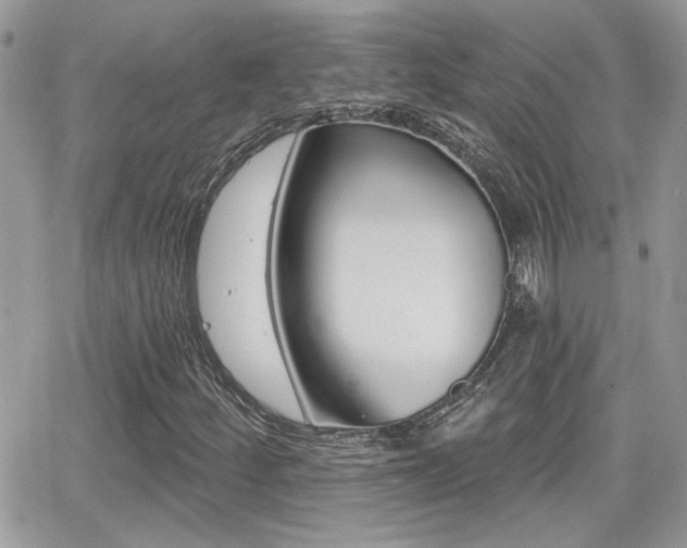 X0000066951252200603240902