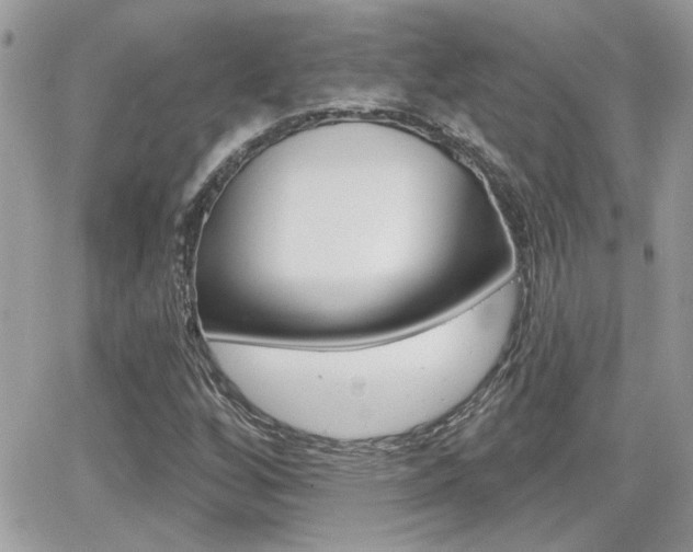 X0000066951256200603240901