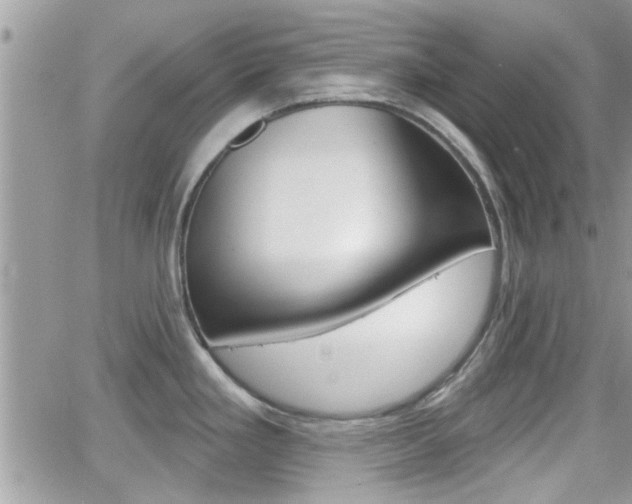 X0000066951293200603240901