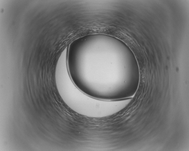 X0000066951298200603240900