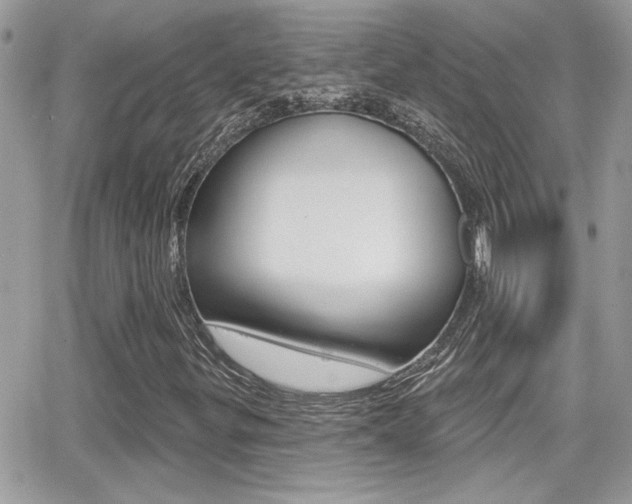 X0000066951299200603240900