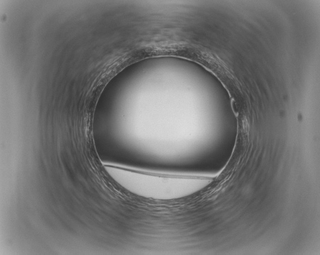 X0000066951300200603240900