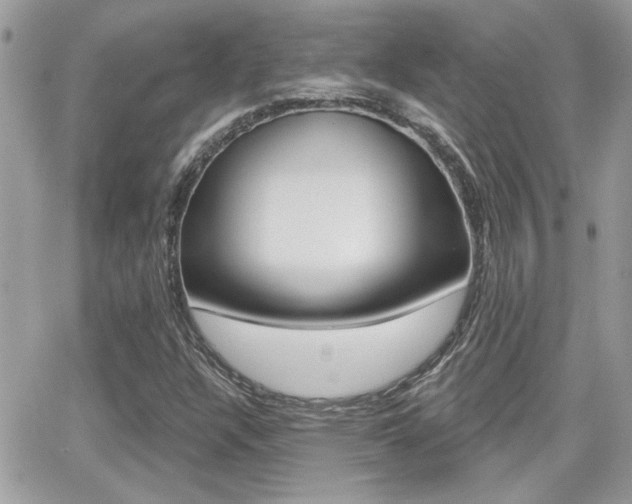 X0000066951304200603240900