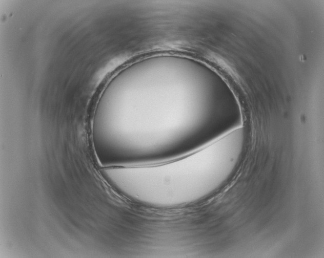 X0000066951308200603240900