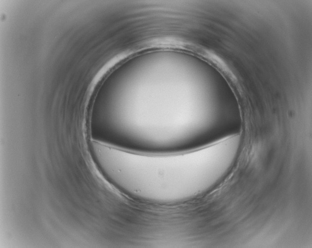 X0000066951331200603240901