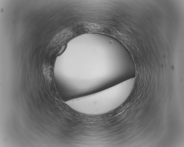 X0000066951346200603240900