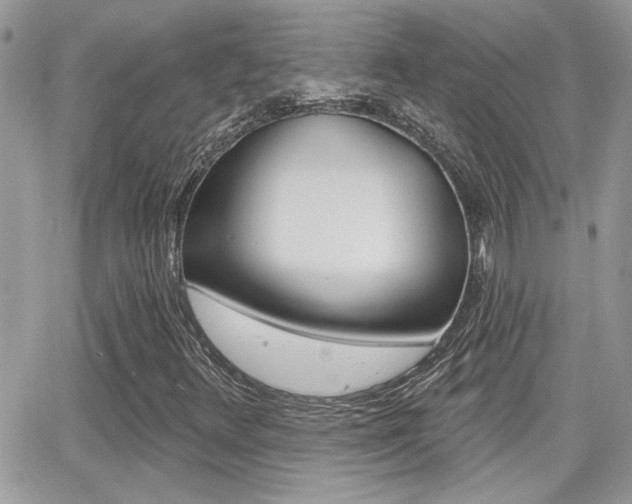 X0000066951348200603240900